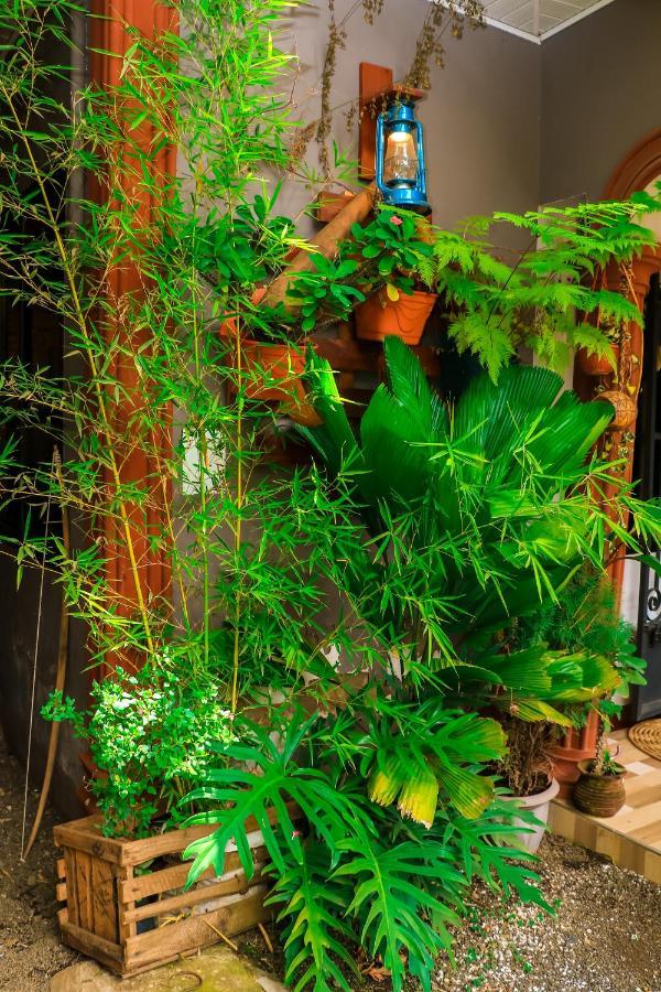 Savannah House أروشا المظهر الخارجي الصورة