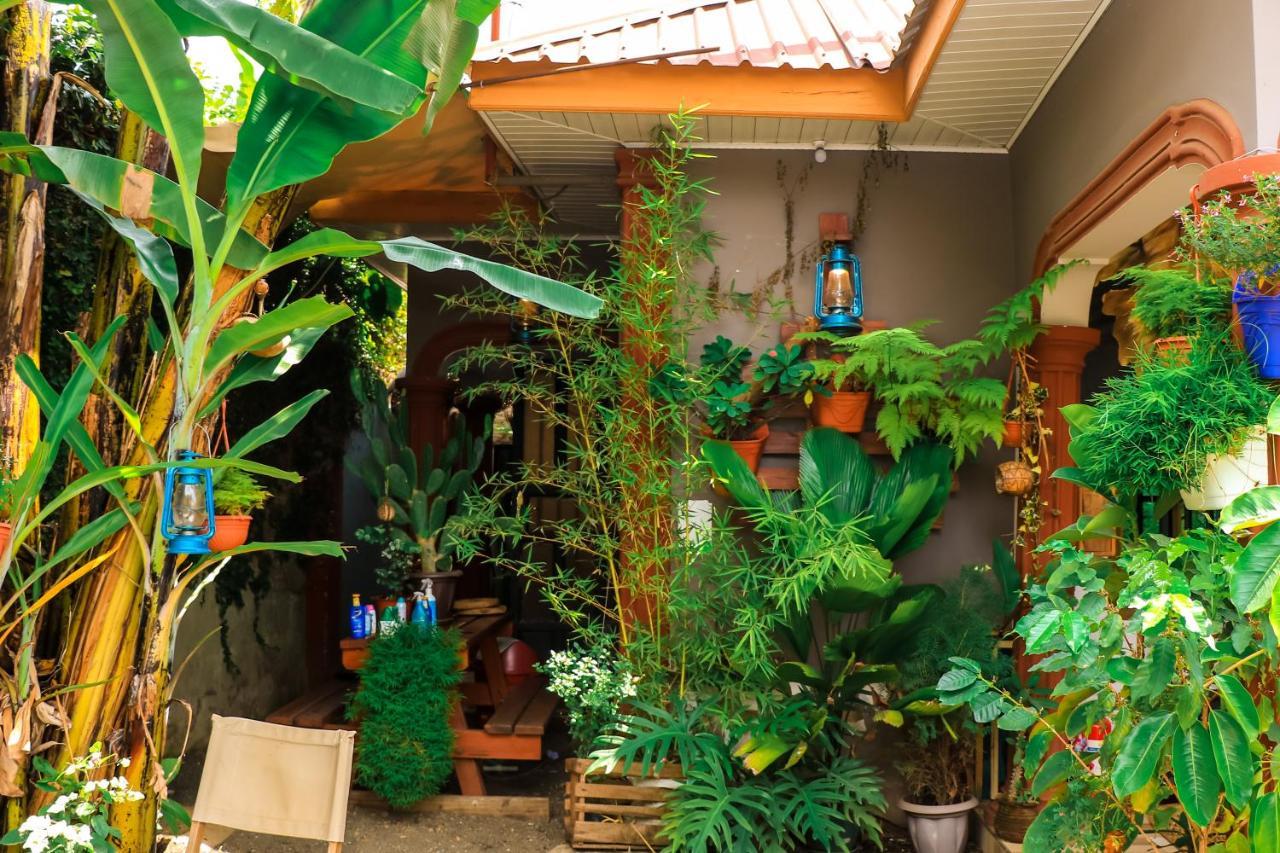 Savannah House أروشا المظهر الخارجي الصورة